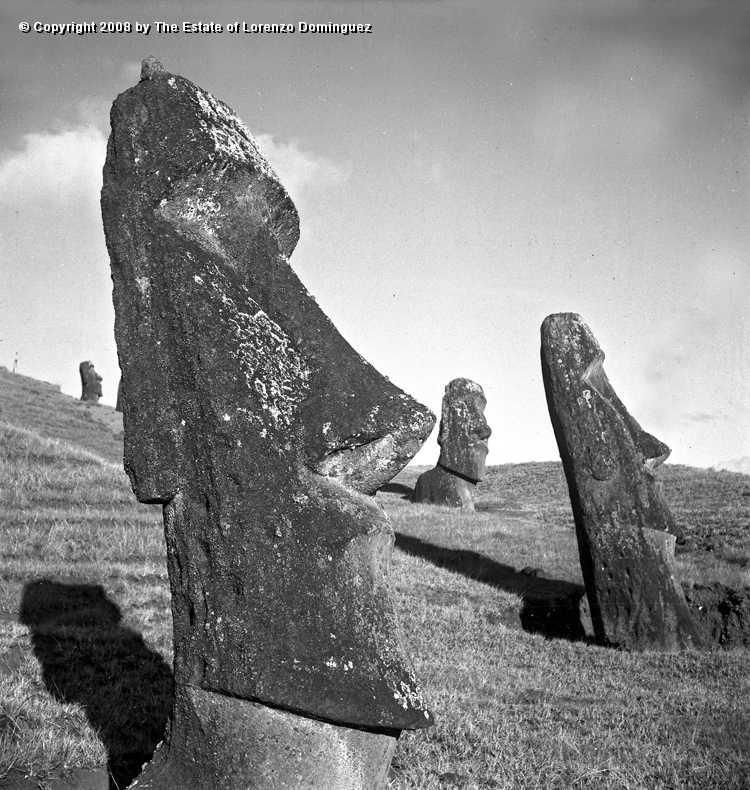 RRE_Angel_08.jpg - Easter Island. 1960. Sentry moai on the exterior slope of Rano Raraku. On the foreground, the moai identified by Lorenzo Dominguez as "The Angel."